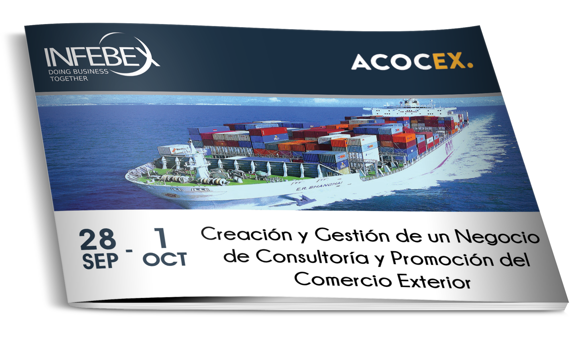 Creación y Gestión de un Negocio de Consultoría y Promoción del Comercio Exterior - Infebex - Acocex
